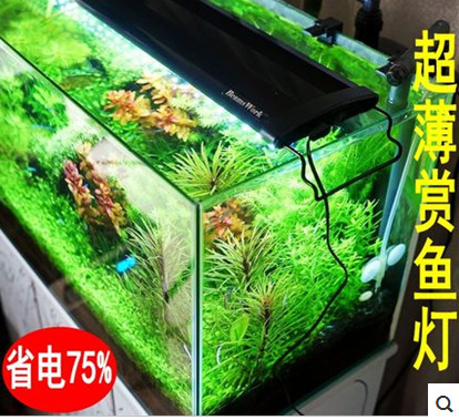655P$JJG2SA88BA0LN]$9RR