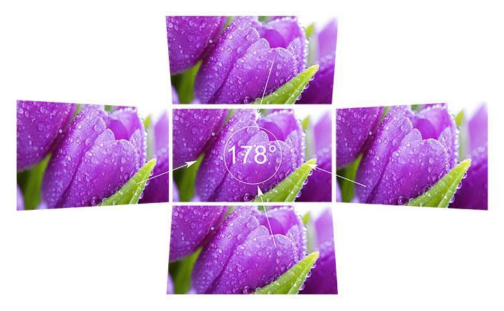 FW759P富威德feelworld详情图_02