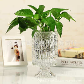 透明玻璃花瓶创意水培绿萝植物花器加厚花瓶玻璃笔筒客厅装饰品