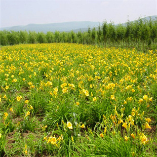 ����ֱ�N���l�޸����ܽ������� ؛Դ���� �r�񃞻�