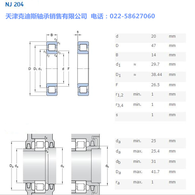 天津轴承 供应 NJ204轴承 圆柱滚子轴承