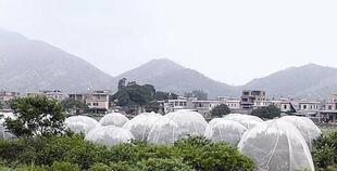 �r�÷��x�W50���߲˷��x�W50����ˮ�a�Bֳ�W ����W��