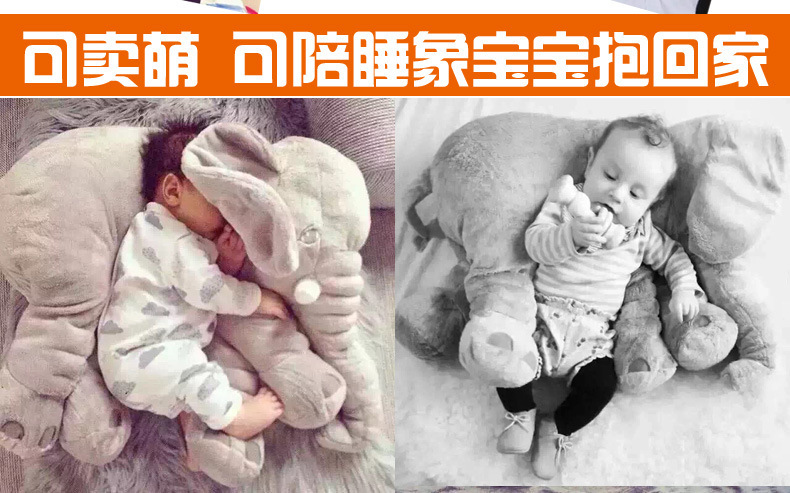 2850077628_856069474