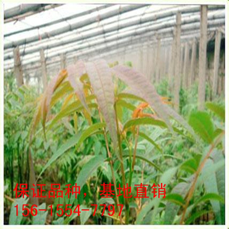 u=4154616013,958775838&