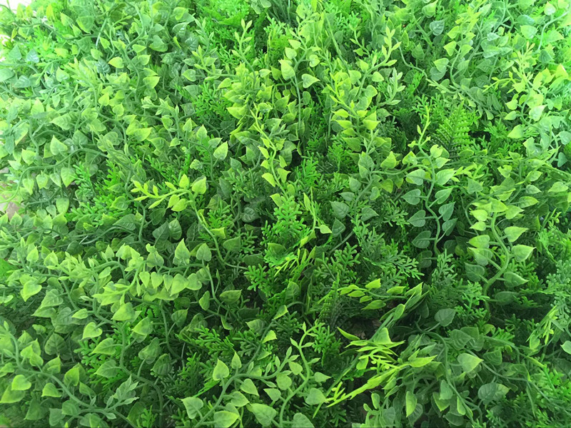 QQ图片20160707150308_副本