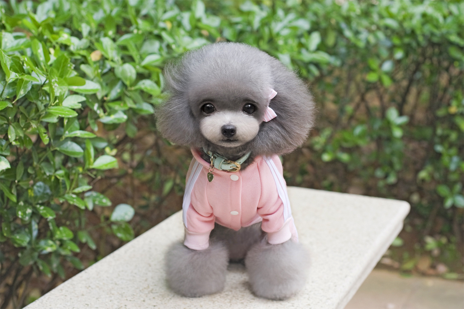 i2 XifKkz9SEOZkhuDrmzU7ITV6OujHIRzeo