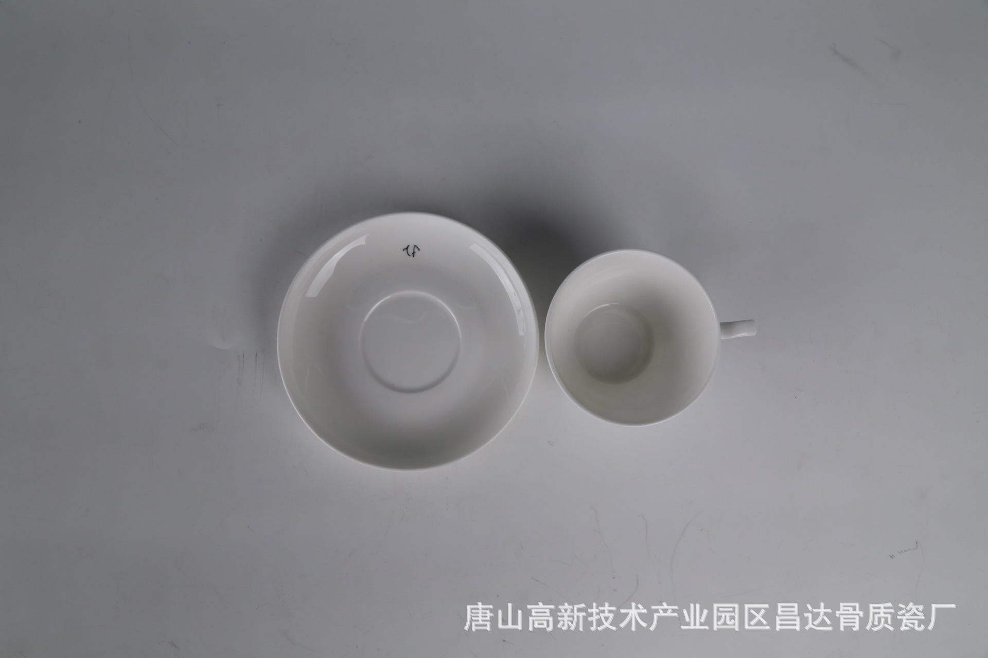 群力杯+底碟C