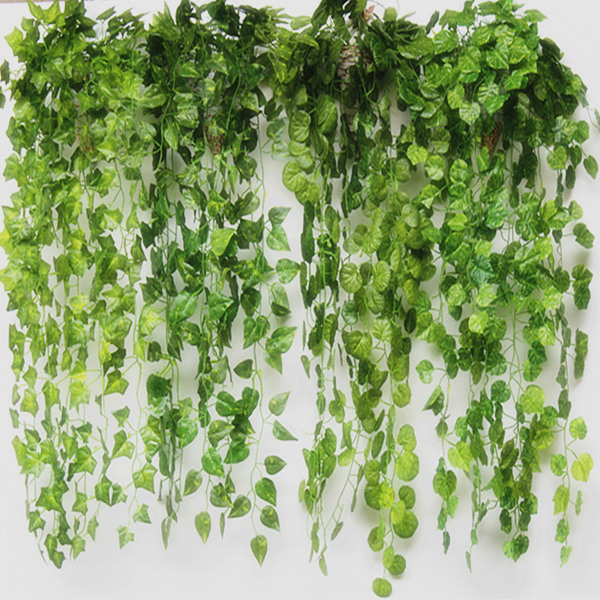 青藤文学网_青藤文学网供应商_青藤文学网批