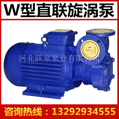 厂家直销 W型旋涡泵 20W-20型 增压旋涡泵 工业专用泵 质量可靠