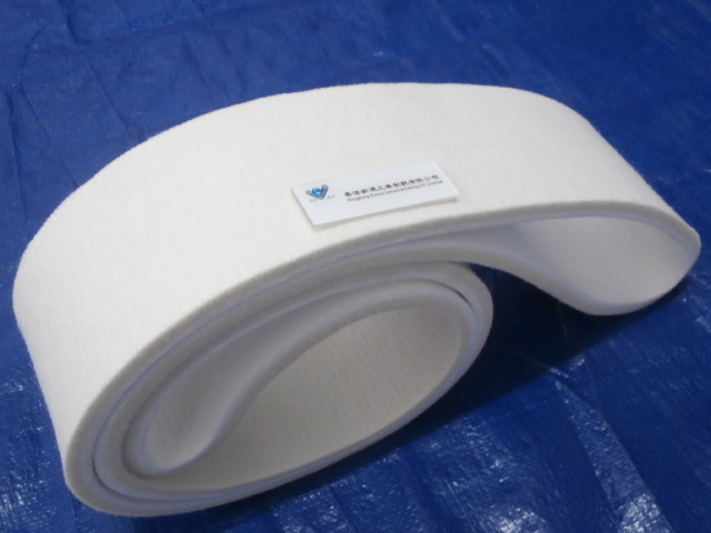 抛光机 环形抛光带