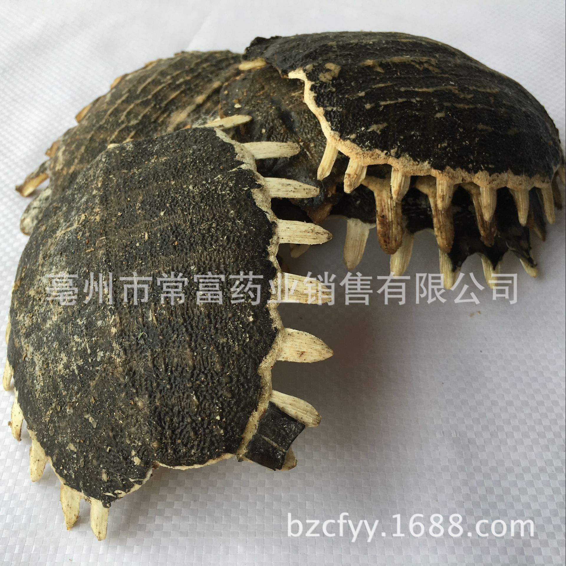 Dried Turtle Shell Bie Jia 500g Traditional Chinese Herb for Culinary Decoction Use overview
