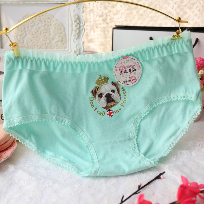 Slip jeune A035 en coton - Ref 647956 Image 17