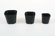 �ŵ����L���ϻ���S��ֱ�NGD-2021�Ϸ��A������ 9gС̖���󃞻�