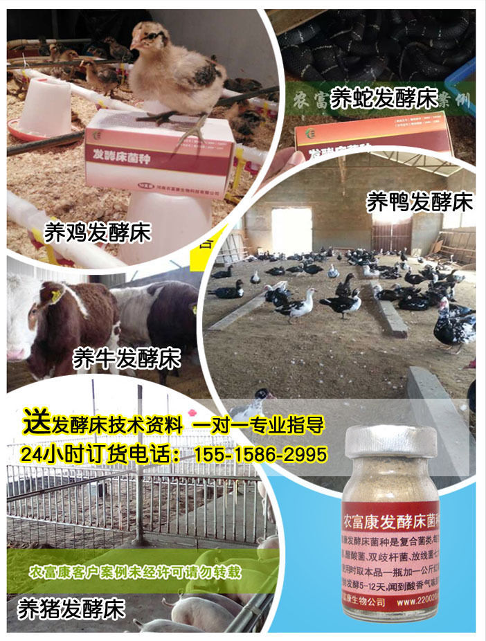3发酵床案例