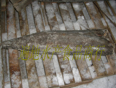 Fish oil Dried fish in oil Hamachi Cod Special purchases for the Spring Festival Freezing Fresh food Supply wholesale(Love food)