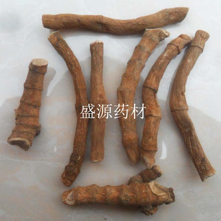 三白草根3