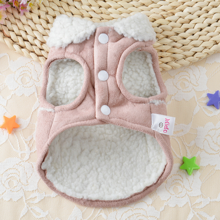 Teddy Dog Clothing - Trendy Style