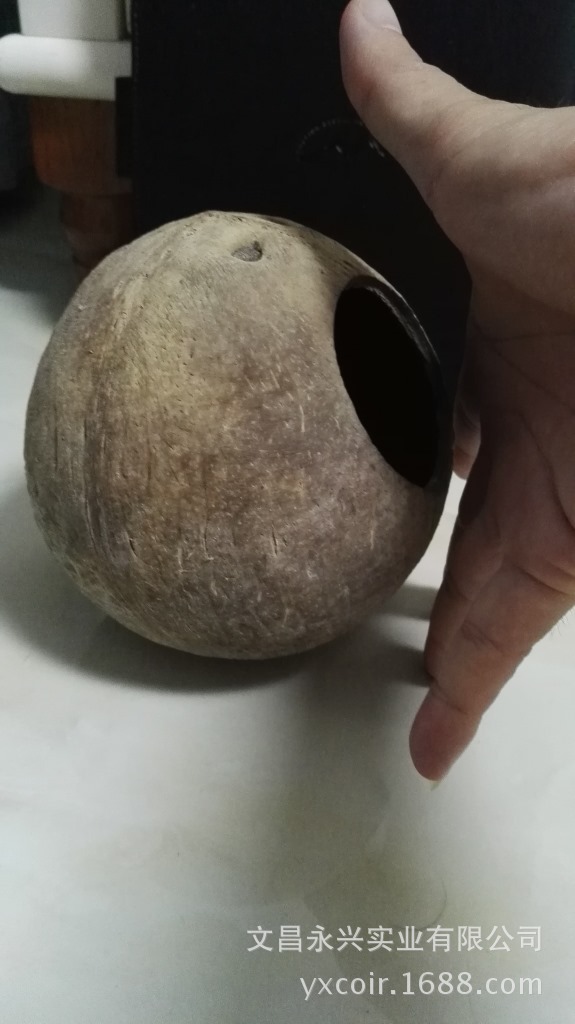 椰子壳鸟窝
