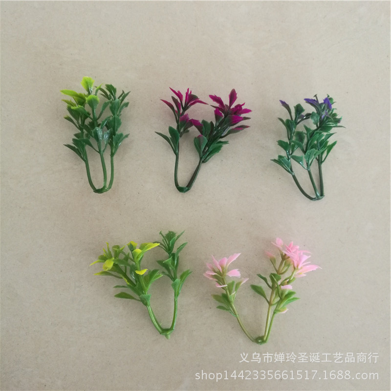 小草居士_小草居士供应商_小草居士批发市场