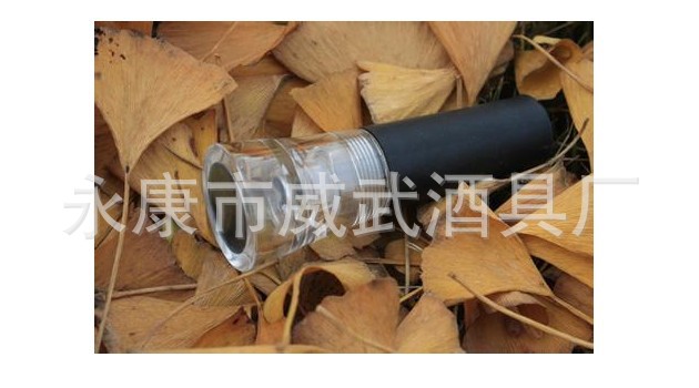 Bottle stopper, vacuum wine bottle