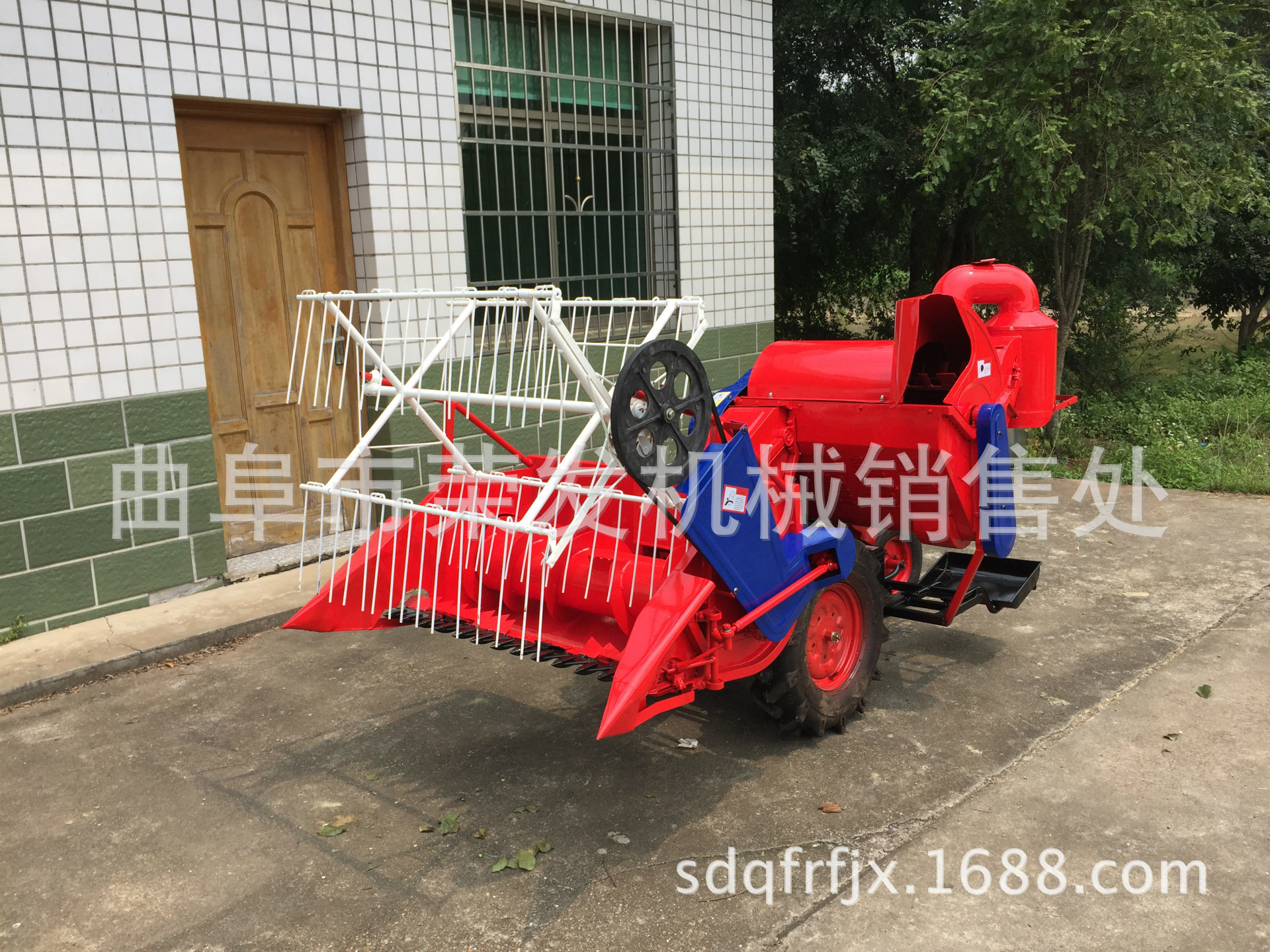 2015年輪式圖片IMG_2791