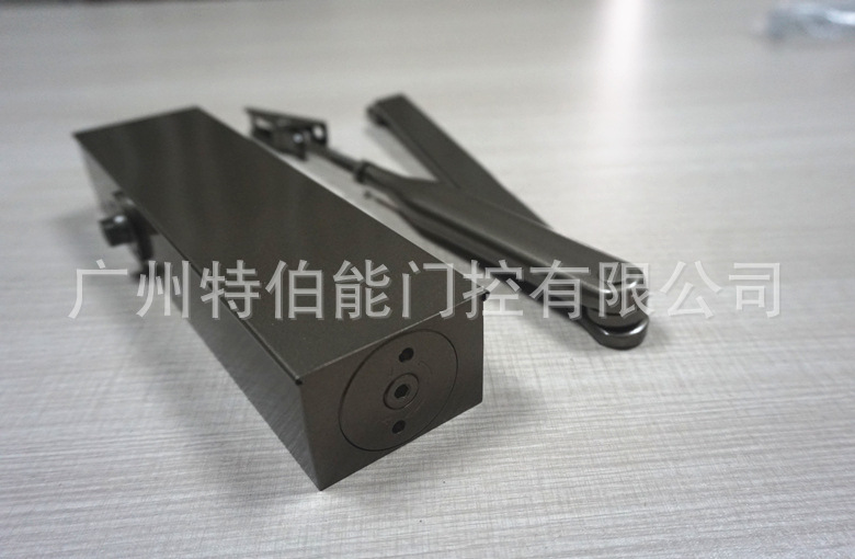 DSC00987_副本