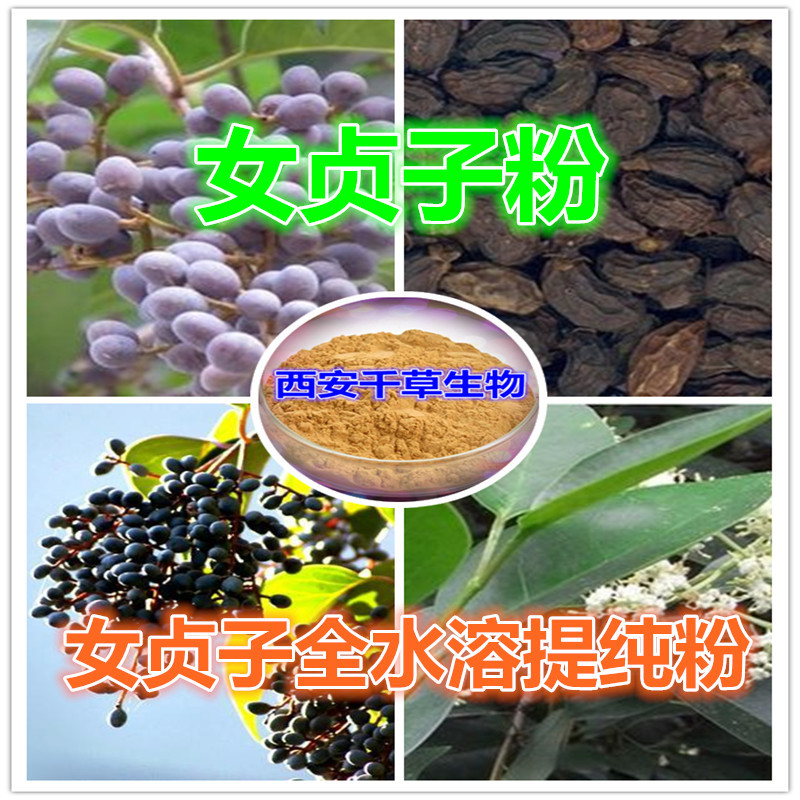 女贞子全水溶提纯粉