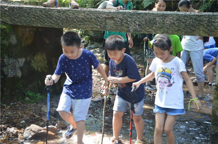杭州自然学校,杭州,日本自然教育现状对比 阿里巴巴商友圈