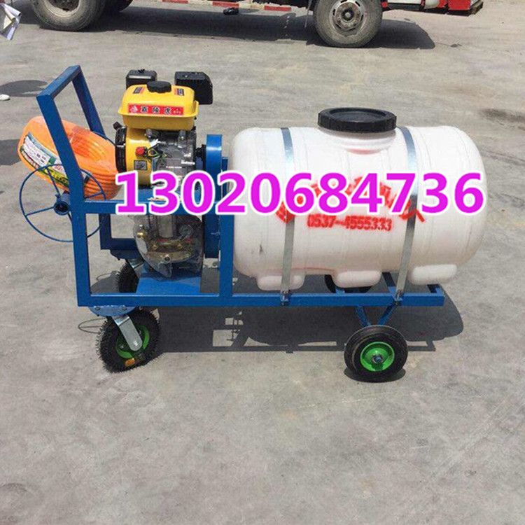 菜园瓜果蔬菜打药机