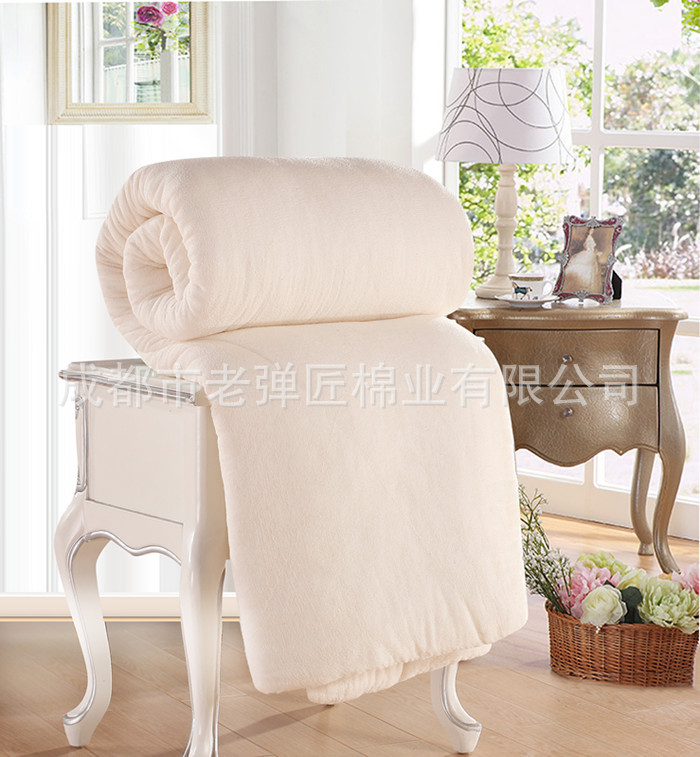 _MG_0107副本_副本