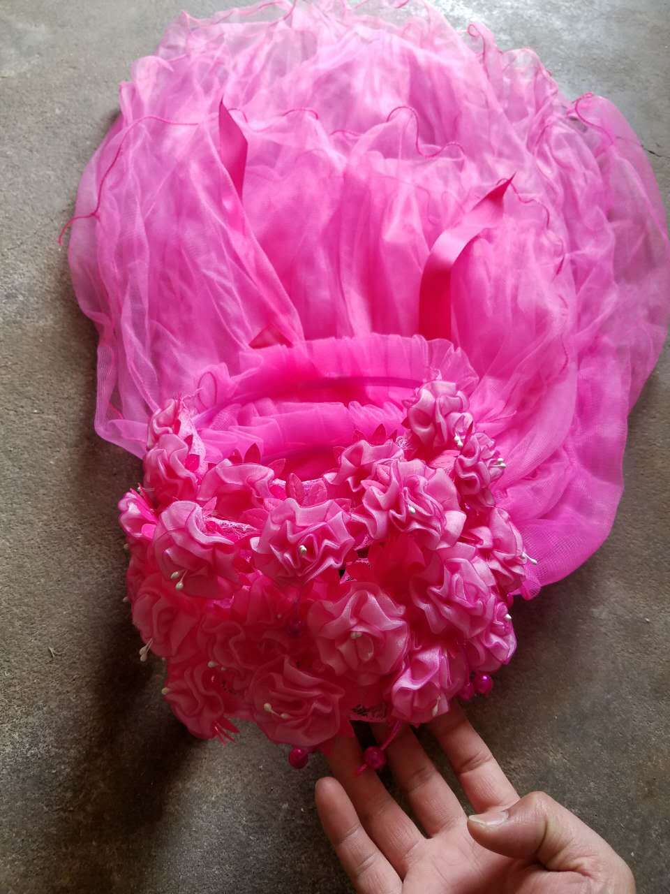 2910316814_1687473250