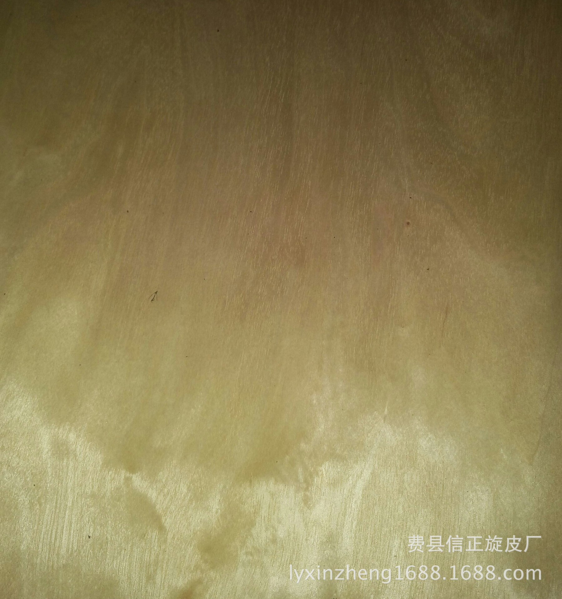 IMG_20160401_143723-1