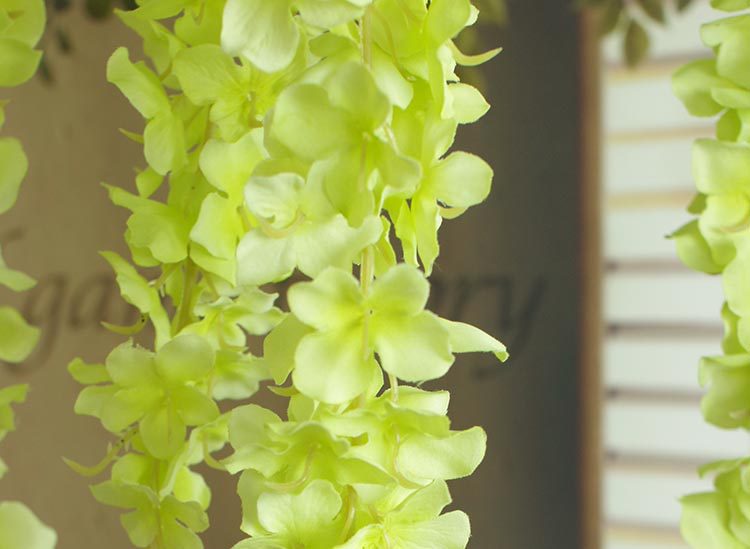 绣球豆花（单节）_17