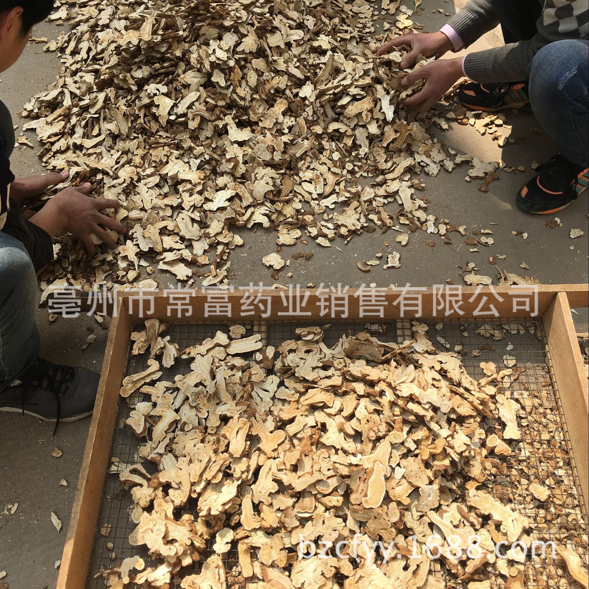 Dried White Atractylodes Rhizome Slices Bai Zhu 500g Traditional TCM Herb for Decoction and Soup quality and texture