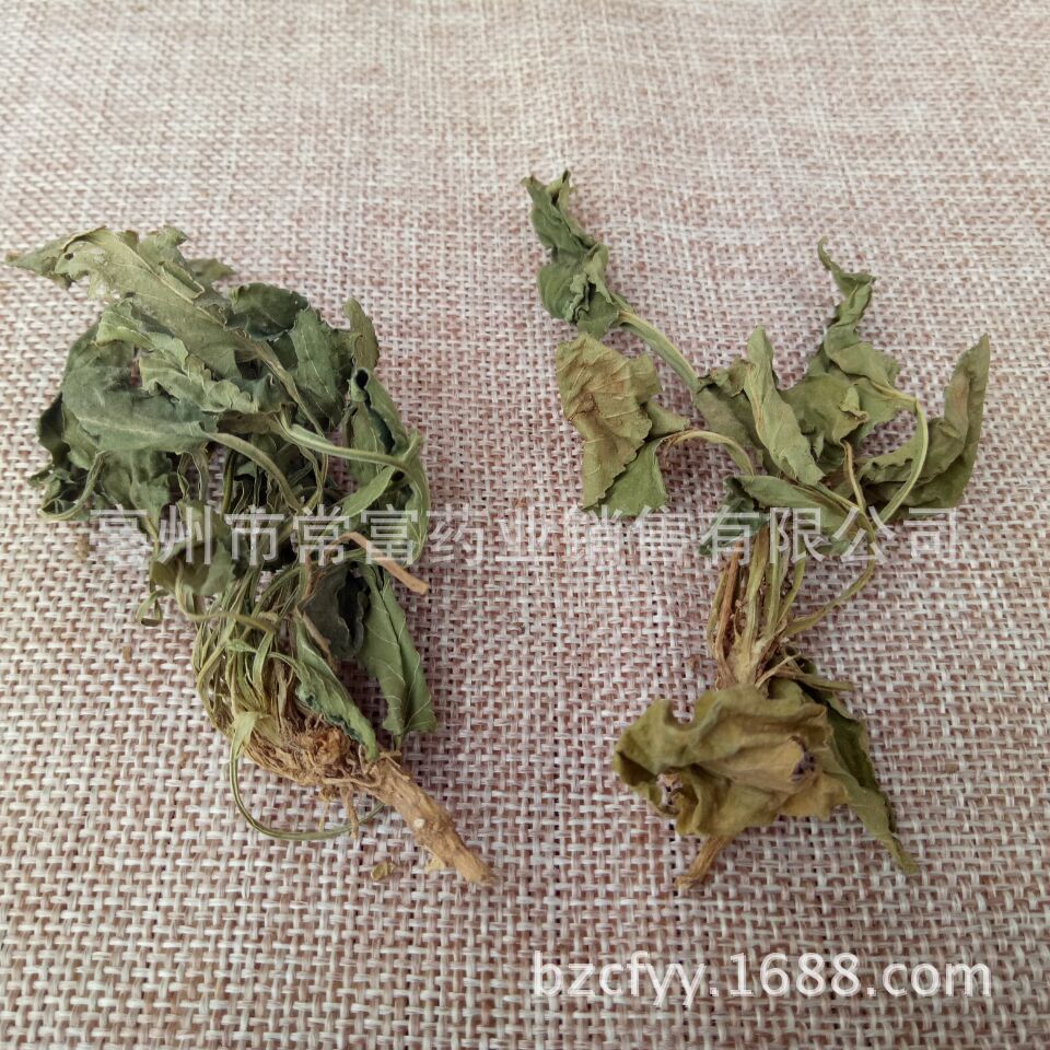 Viola Herb Zi Hua Di Ding Whole Plant Dried 500g Traditional Chinese Herbal Tea and Decoction Ingredient specifications