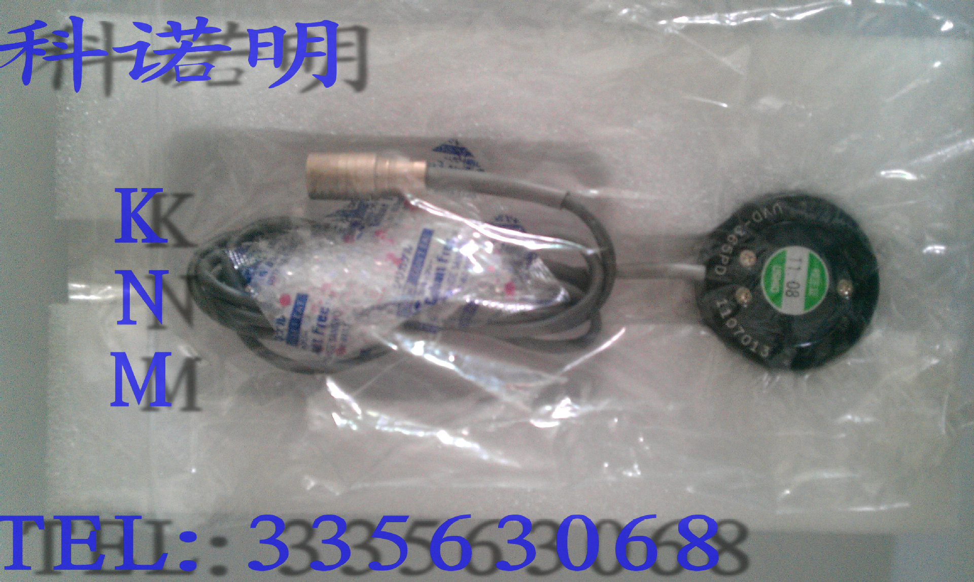 IMAG0308
