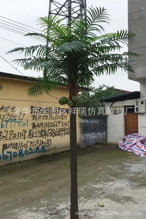 XRS-145 单杆椰子叶树1