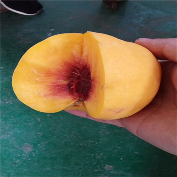 QQ图片20161023220422