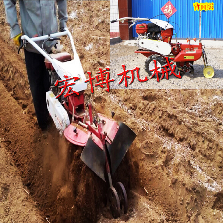 橡胶履带不伤蒜 福建