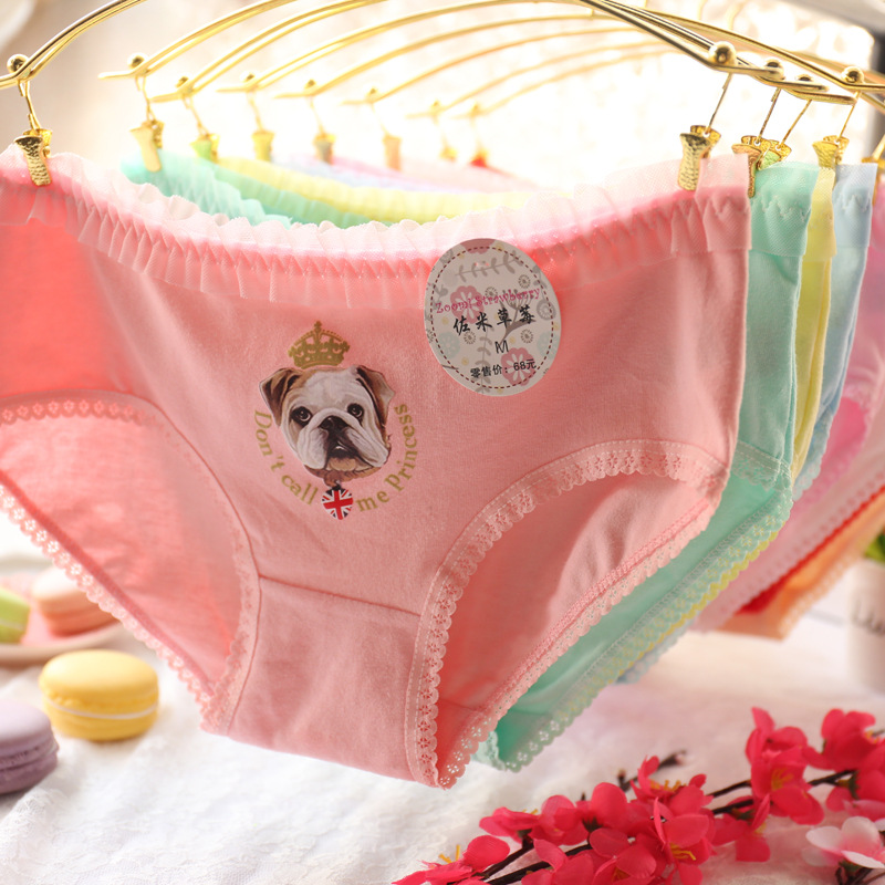 Slip jeune A035 en coton - Ref 647956 Image 7