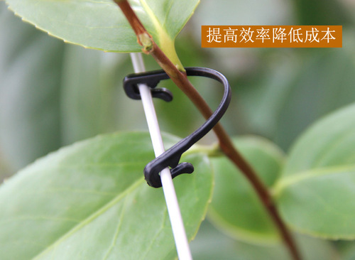 Wholesale Grape Tying Wire, Binding Straps, Grape Vine Clips, Branch-tying Clamps, Vine Fixing Clips with Hooks