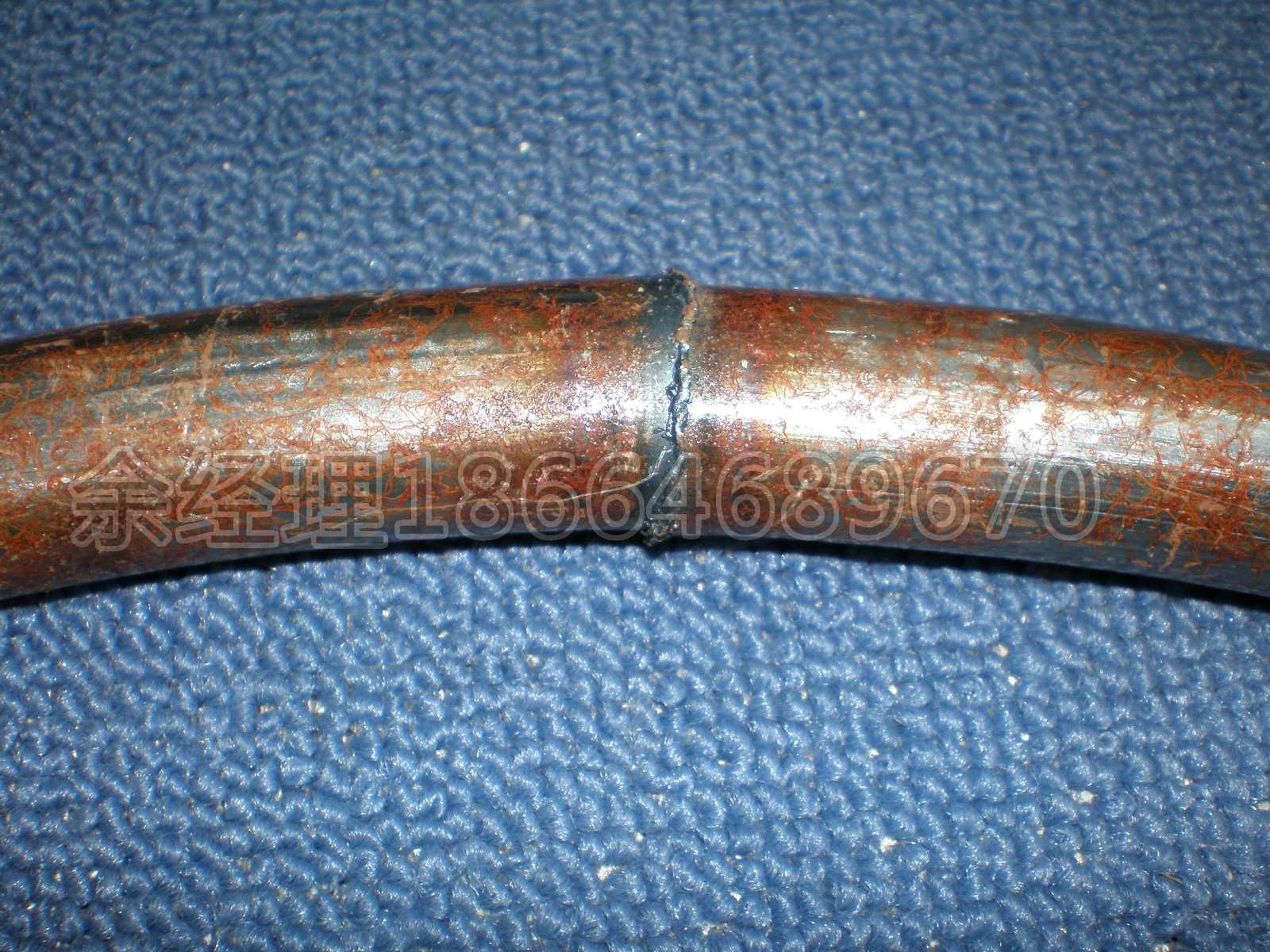 P6130034_meitu_15（加水印）