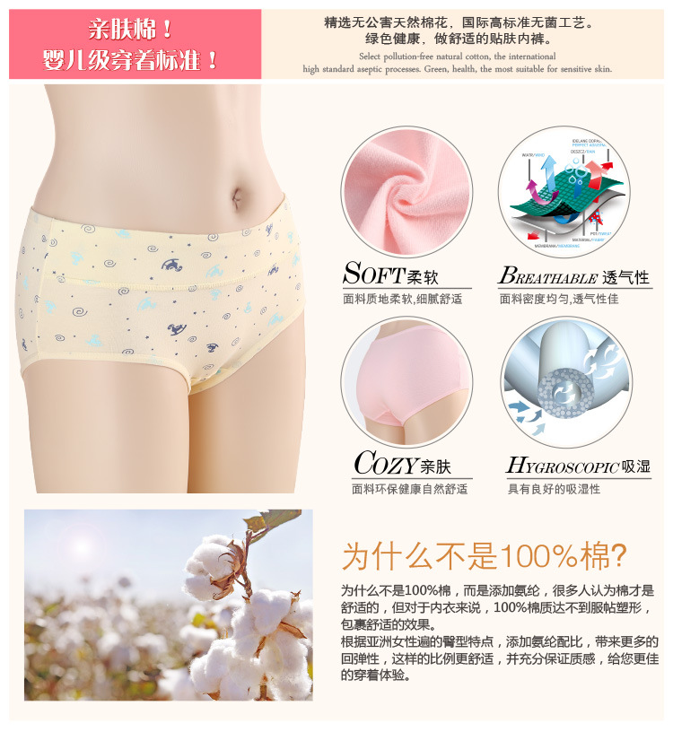Slip jeunesse SF01 en coton - Ref 646423 Image 17