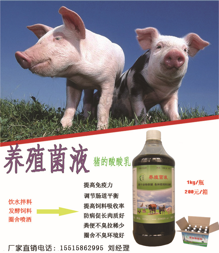 养猪益生菌液