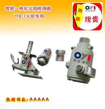 火炬专用火焰检测器 - 分解图