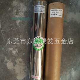 利士达不锈钢深井泵 抽水泵增压水泵ELECTRIE转子泵ELECTRIE利士