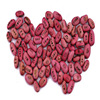 Wholesale Vegetables 20 peas seed Red and white Magic bean seeds/Red magic beans/ Banded bean