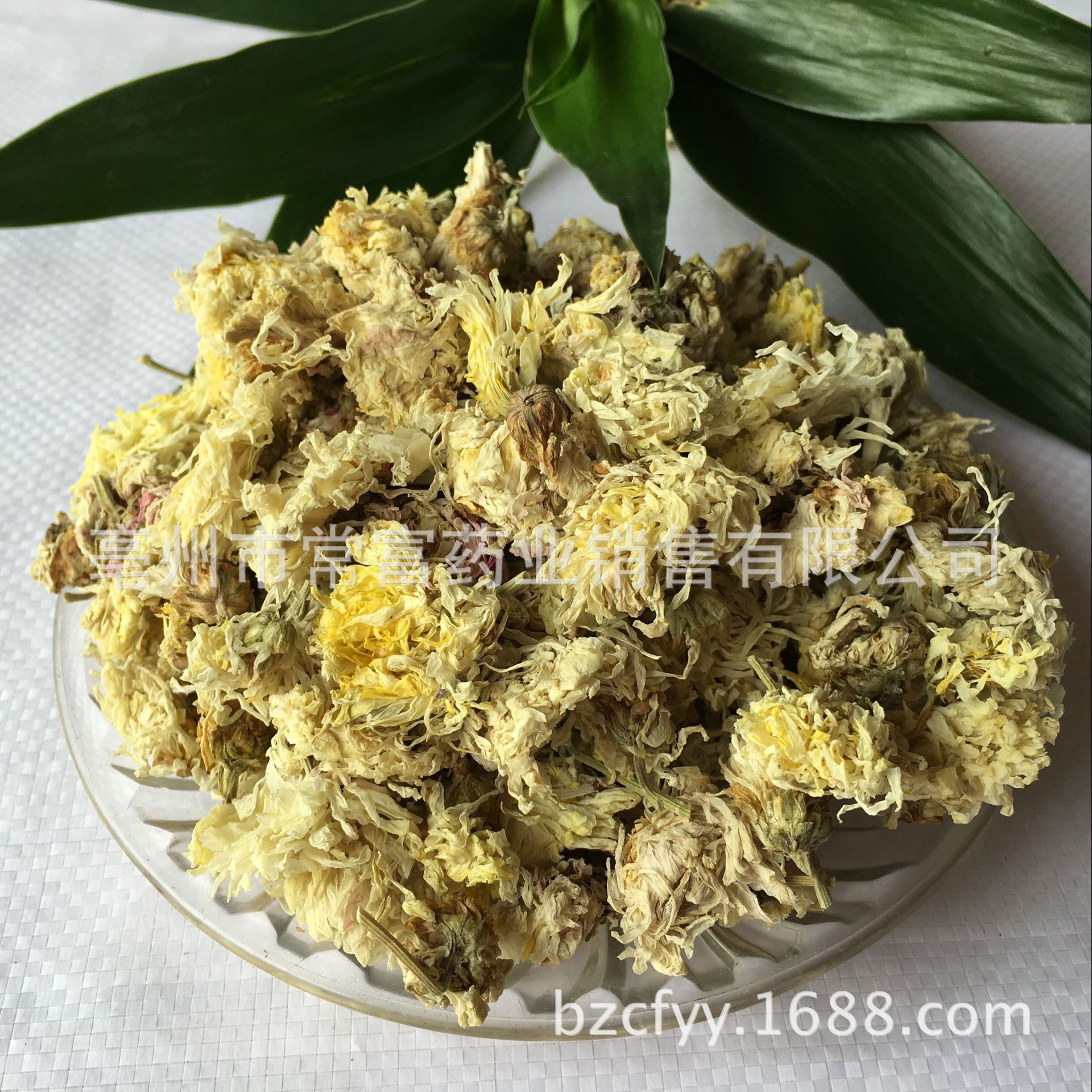 Bo Chrysanthemum Flower Bo Ju Hua Dried Whole Flowers for Tea and Culinary Use 500g Natural Sun Dried Bulk in use