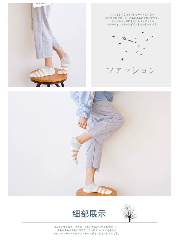 5 cặp hộp quà tặng, Aachen, Nhật Bản và Hàn Quốc, vớ cotton, bốn mùa, thể thao giản dị, sinh viên thở, bông màu, vớ của phụ nữ tất