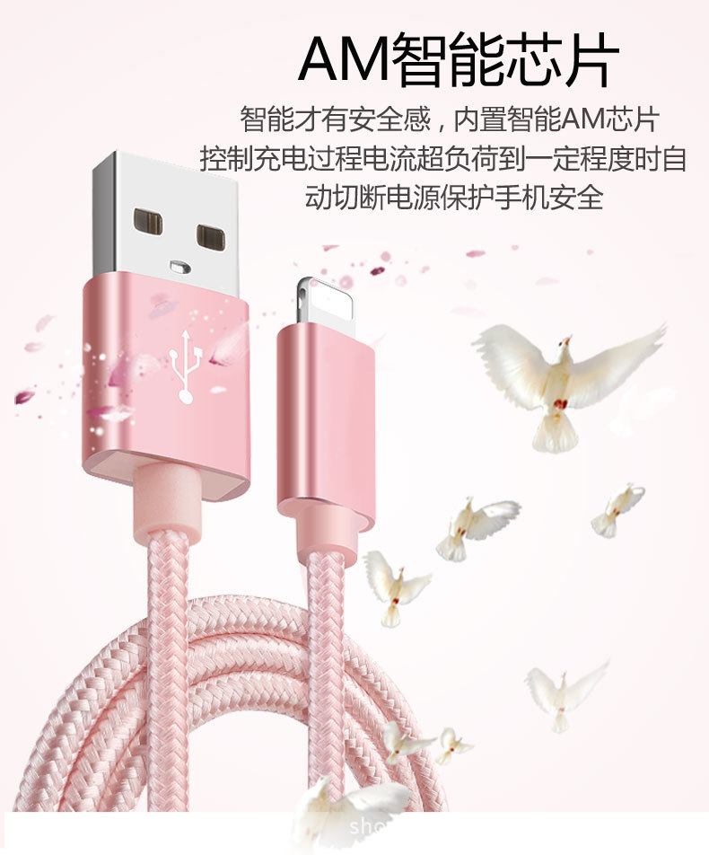 重點蘋果_16